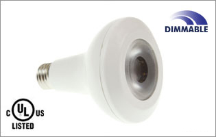 LED Par30 10 Watt